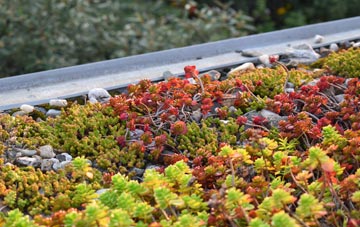 the cost of Creech Heathfield green roof installation
