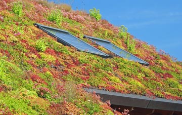 Creech Heathfield living roof systems