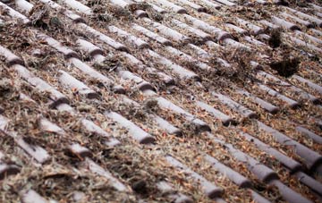 Creech Heathfield roof cleaning companies