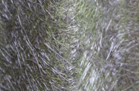 Creech Heathfield fibreglass roof work